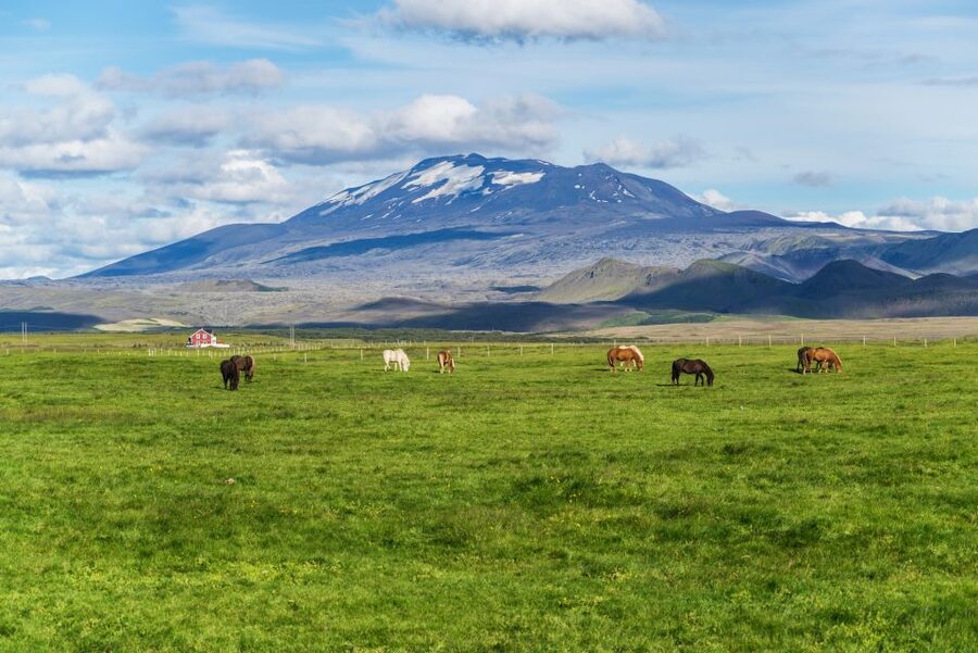 South Coast Classic: Full-Day Tour from Reykjavik - Why this south coast day trip works