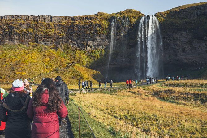 South Coast Day Tour Black Sand Beach & Waterfalls from Reykjavik - Reynisfjara: stunning black sand, serious wave danger
