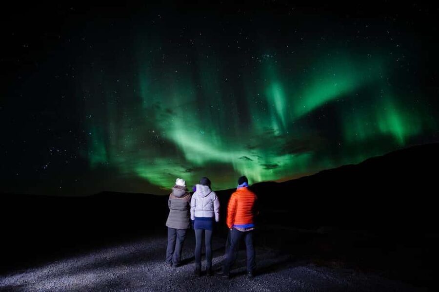 South Coast, Glacier Hike and Northern Lights Winter Tour - Dinner break before the Northern Lights hunt