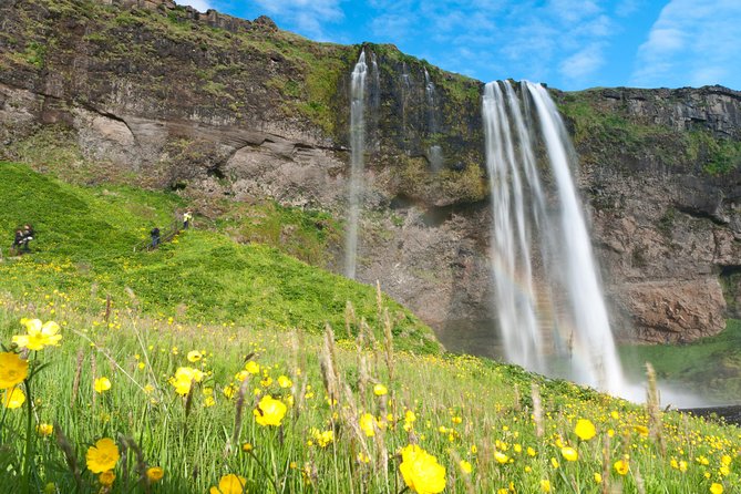 South Coast Sagas: Small Group Tour with Pick-up from Reykjavik - Guides, commentary, and the small-group feel