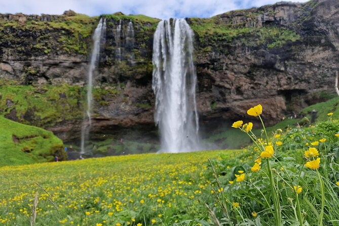 South Iceland, Glacier and Black Sand Beach Small Group Tour - Why this South Coast day works