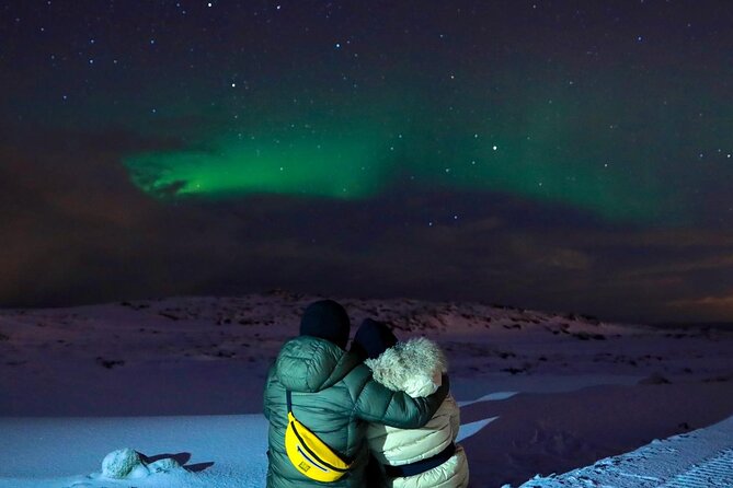 South Iceland Highlights and Northern Lights Combo Full-Day Tour - One long day from Reykjavik to the South Coast