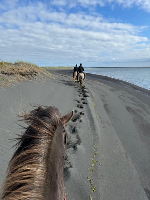 southern Iceland: Black beach riding tour - Why a black beach ride works so well in southern Iceland