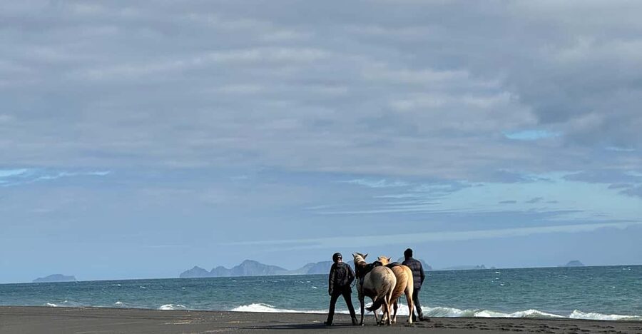 southern Iceland: Black beach riding tour - Riding the black sand toward the coast