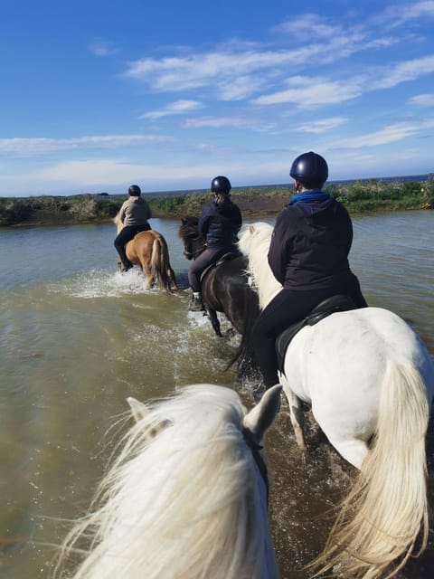 southern Iceland: Black beach riding tour - Feeling the tölt on an Icelandic horse