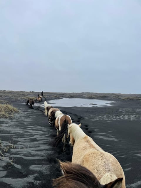 southern Iceland: Black beach riding tour - The views: Westman Islands, Eyjafjallajökull, and open water