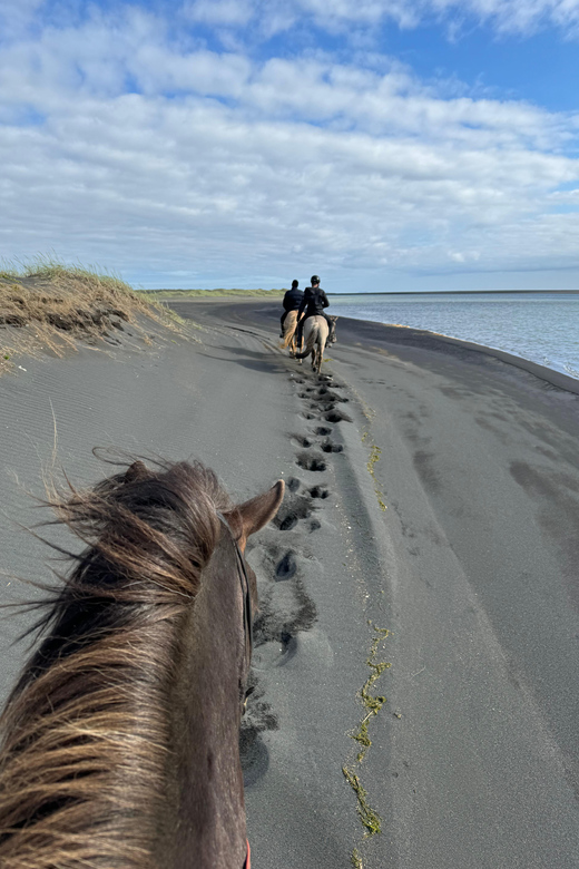 southern Iceland: Black beach riding tour - What to wear for a two-hour Icelandic ride