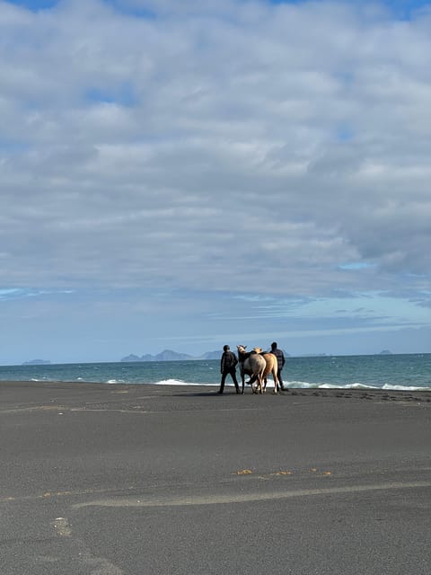 southern Iceland: Black beach riding tour - Price, group size, and the value of the experience