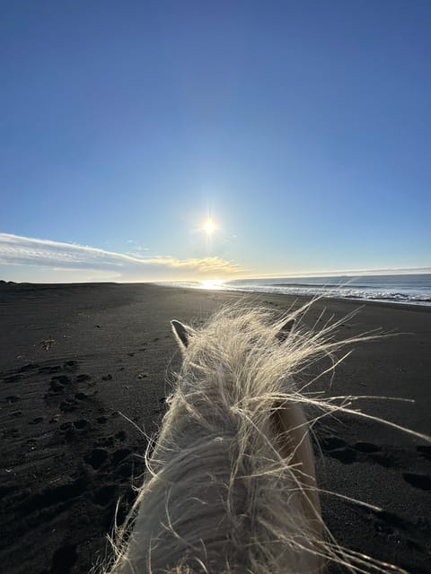 southern Iceland: Black beach riding tour - Arriving at Grímsstaðir from Reykjavík or the South Coast