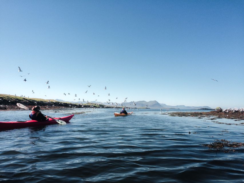 Stykkishólmur: 2-Hour Sea Kayak Tour - Key points at a glance