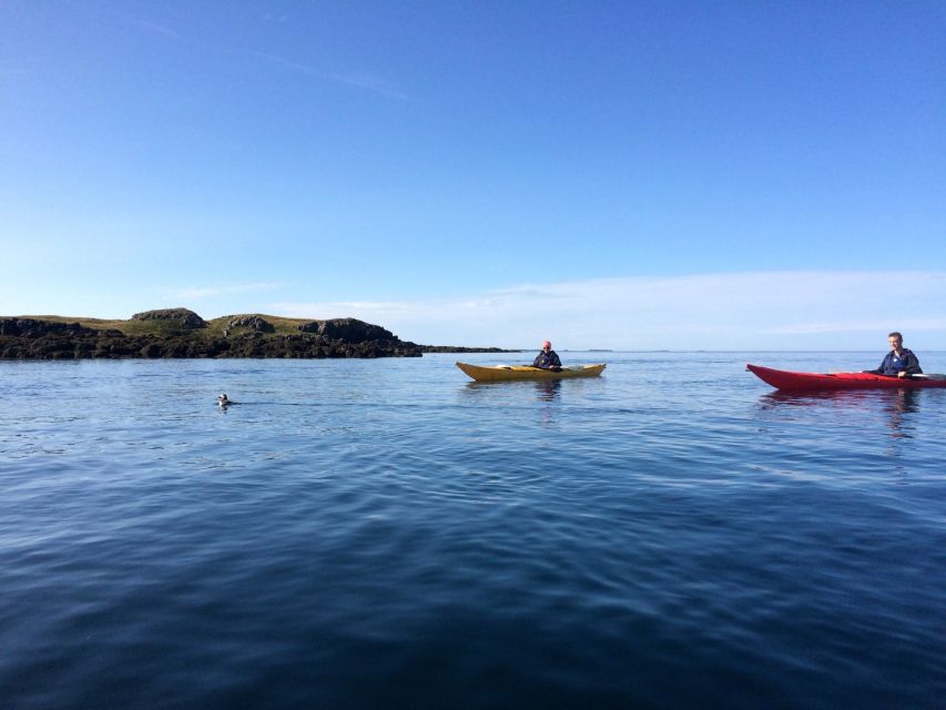 Stykkishólmur: 2-Hour Sea Kayak Tour - Starting beside Stykkishólmur’s harbor