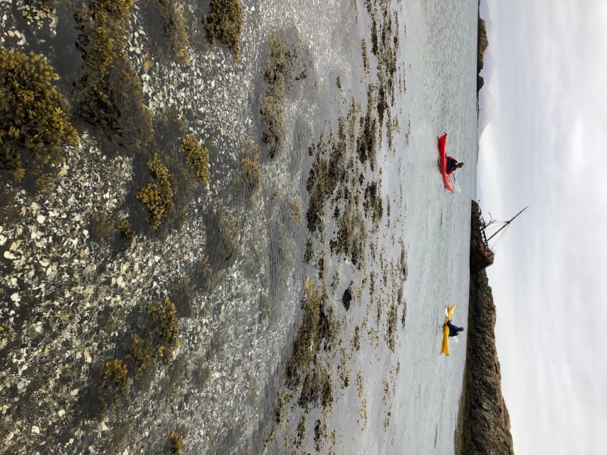 Stykkishólmur: 2-Hour Sea Kayak Tour - Who should book this paddle