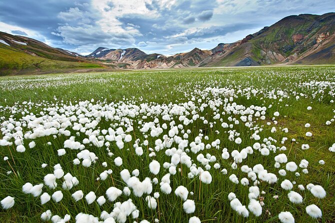 Super Jeep Tour to Landmannalaugar - Key points to know before booking