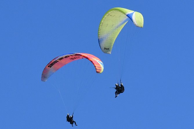 Tandem Paragliding Flights from Vik - What the pilot controls, and what you do