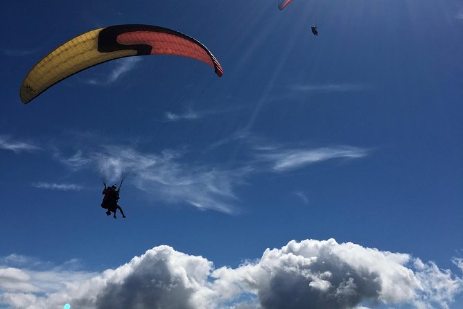 Tandem Paragliding over the Rugged Lava Fields at Blue Mountains - Is $254.22 a fair price?
