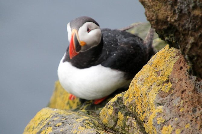 The Great Round Tour: Around Iceland in 13 Days - Day 3: Waterfalls, a museum, glacier ice, and black sand