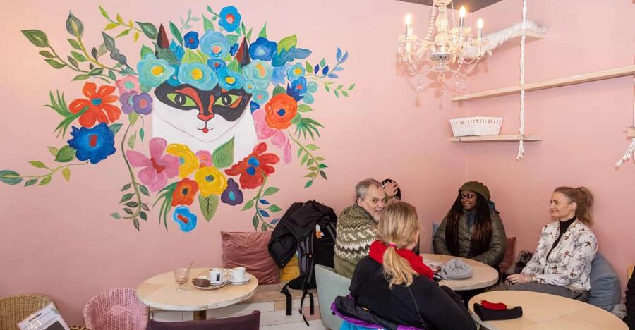 The Private Reykjavik CatWalk - Key points to know before you book