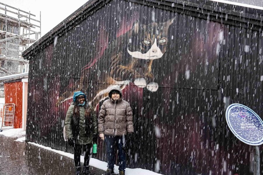 The Private Reykjavik CatWalk - Laugavegur and the special cat shop