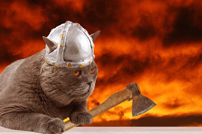 The Reykjavik Cat Walking Tour - Meeting at Ingólfstorg and tracing Iceland’s cat story