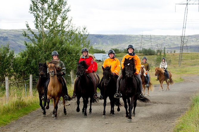 The Siggi Tour from Reykjavík: 1.5 to 2-Hour Ride - Key points about the Reykjafjall ride