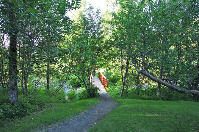 The Story of Fire Saga Eurovision: Netflix Húsavík Walking Tour - Weather, timing, and practical planning