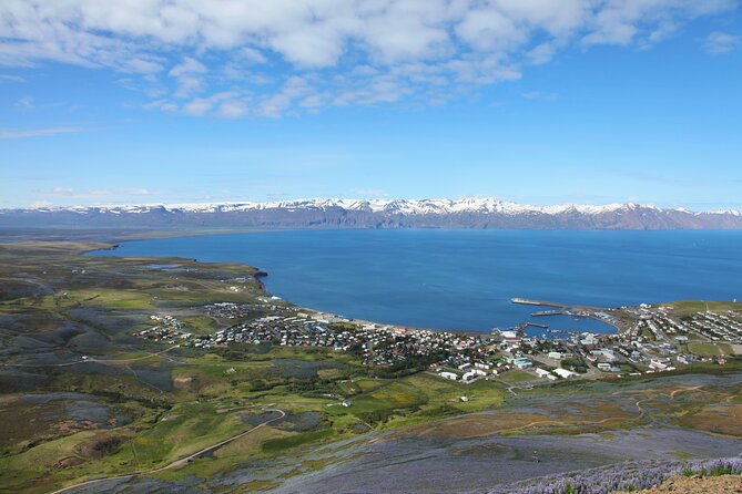 The Story of Fire Saga Eurovision: Netflix Húsavík Walking Tour - Starting at Garðarsbraut 5 at 11:00