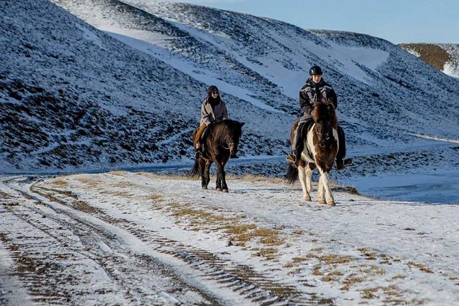 The Viking Horse Riding Experience in North Iceland - Key details before you saddle up