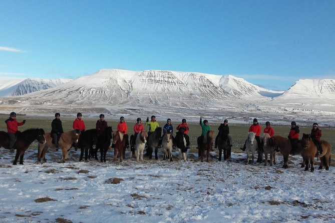 The Viking Horse Riding Experience in North Iceland - The first minutes in the saddle