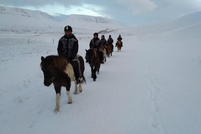 The Viking Horse Riding Experience in North Iceland - Following the river toward the waterfall