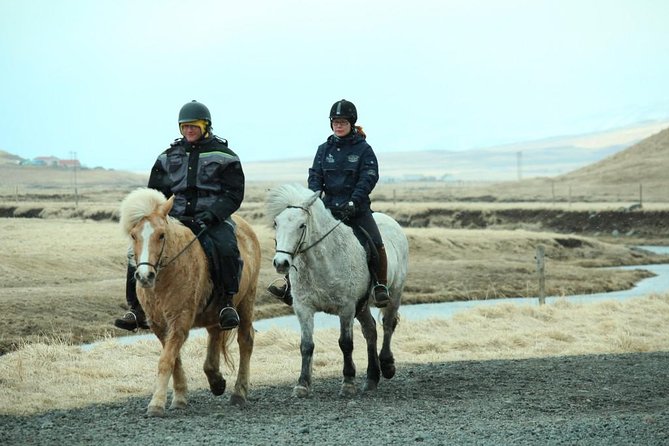 The Viking Horse Riding Experience in North Iceland - Trying the tölt and crossing the river