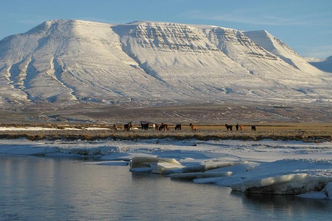 The Viking Horse Riding Experience in North Iceland - Check-in at Hestasport Reception