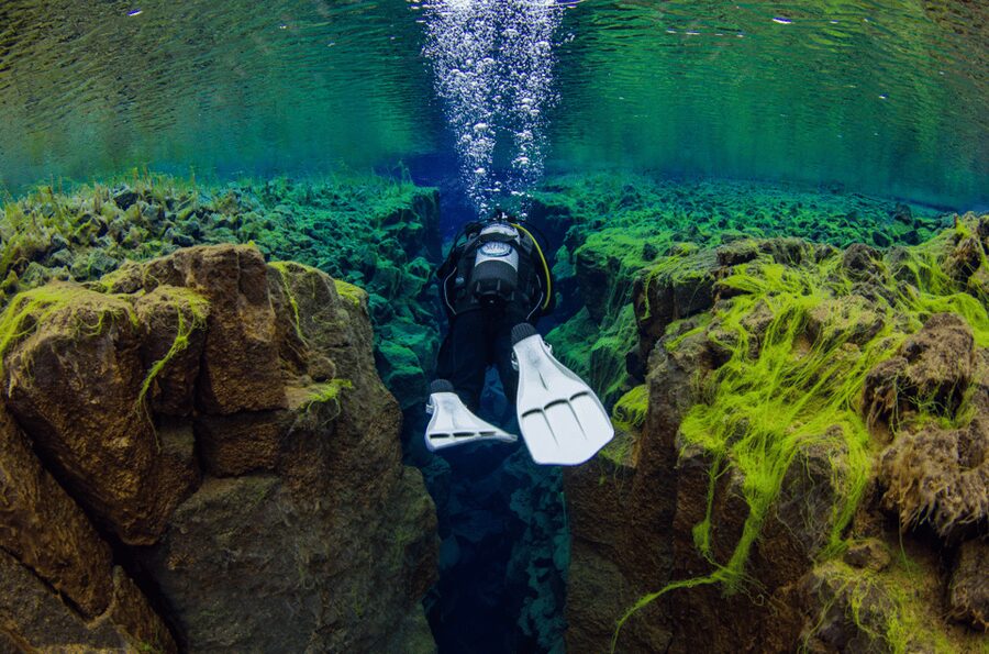 Thingvellir: Silfra Fissure Diving with Optional Pickup - Who should book this activity