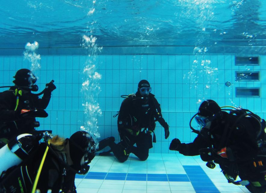 Thingvellir: Silfra Fissure Diving with Optional Pickup - Is $281 good value for Silfra?