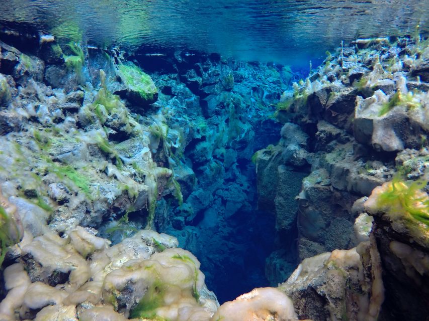 Thingvellir: Silfra Freedive Adevnture with a Guide - Practical tips for a better experience