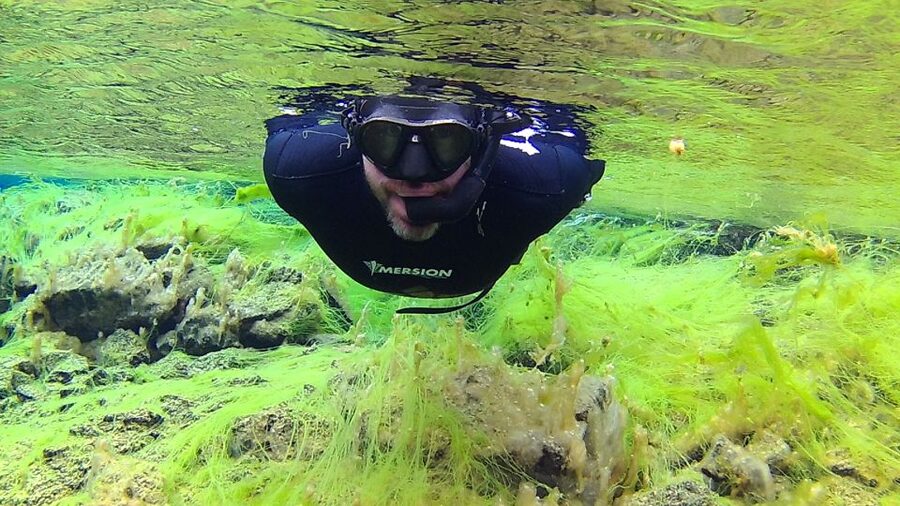 Thingvellir: Silfra Freedive Adevnture with a Guide - Entering the water from the Silfra staircase