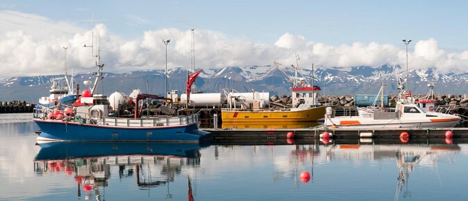 Traditional Oak Ship Whale Watching Tour From Husavik - Key points to know before sailing