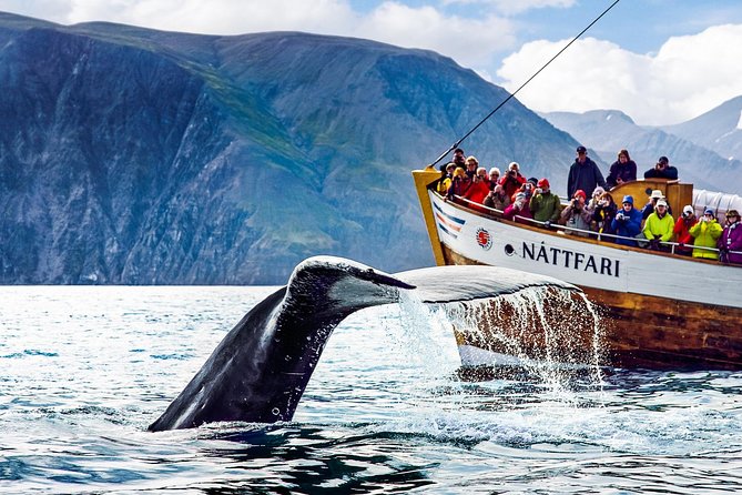 Traditional Oak Ship Whale Watching Tour From Husavik - Three hours in Skjálfandi Bay