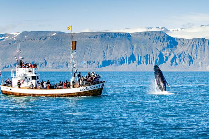 Traditional Oak Ship Whale Watching Tour From Husavik - Staying warm on an Icelandic boat