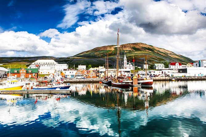 Traditional Oak Ship Whale Watching Tour From Husavik - The guide’s commentary adds real value