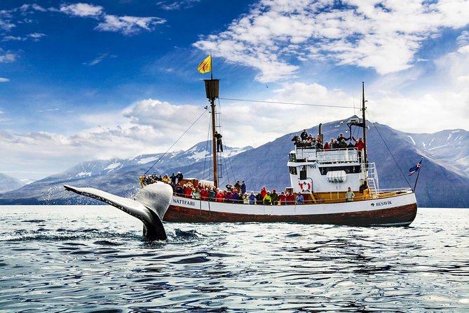 Traditional Oak Ship Whale Watching Tour From Husavik - Why the oak ship changes the mood