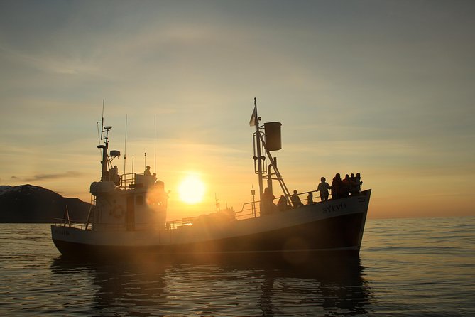 Traditional Whale Watching from Húsavík by Local Family Company - How much of the three hours is wildlife time?