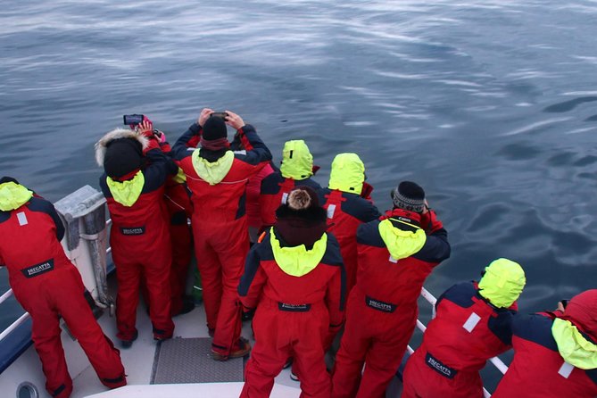 Two-In-One: Whale & Puffin Watching Tours from Reykjavik - Second stop: searching Faxaflói Bay