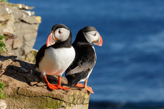 Unforgettable 5-Day Iceland Stopover Tour - Key points to know before booking