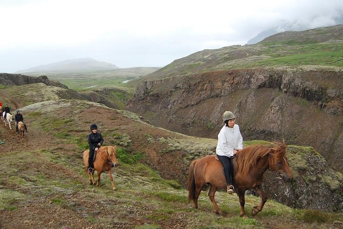 Viking Horse Riding and Golden Circle Tour from Reykjavik - What the coach portion does well, and where it falls short