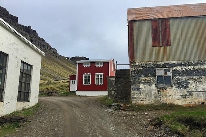 Westfjords Strandir - Private - Five things that define this Strandir day trip