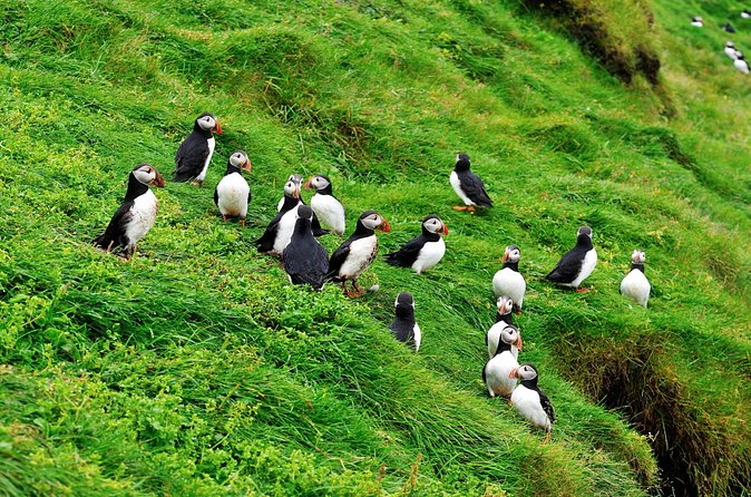 Westman Islands - Reykjavik (Bus transfer from Landeyjahöfn) - Weather and reliability in Iceland