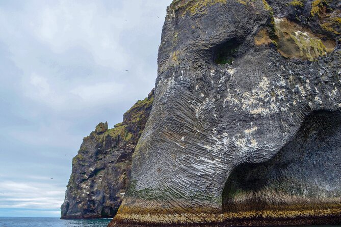 Westman Islands, Volcanoes and Puffins Small Group Tour - Why Heimaey makes a strong day trip from Reykjavik
