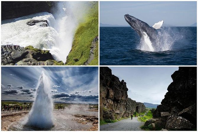 Whale Watching and Golden Circle Tour from Reykjavik - Þingvellir, where geology meets government