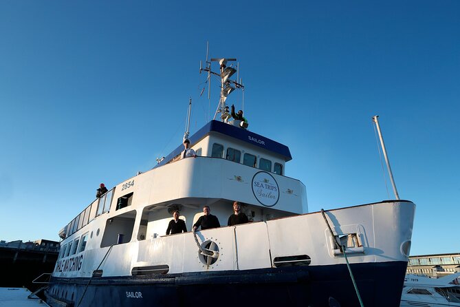 Whale Watching and Marine Life Tour in Reykjavik - Reading the water with the guide