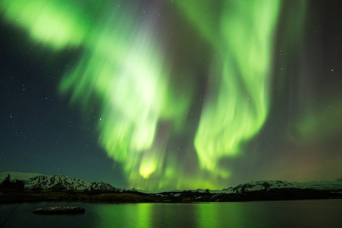 Whale Watching and Northern Lights Half-Day Combo Tour - Two Iceland experiences, one carefully timed day